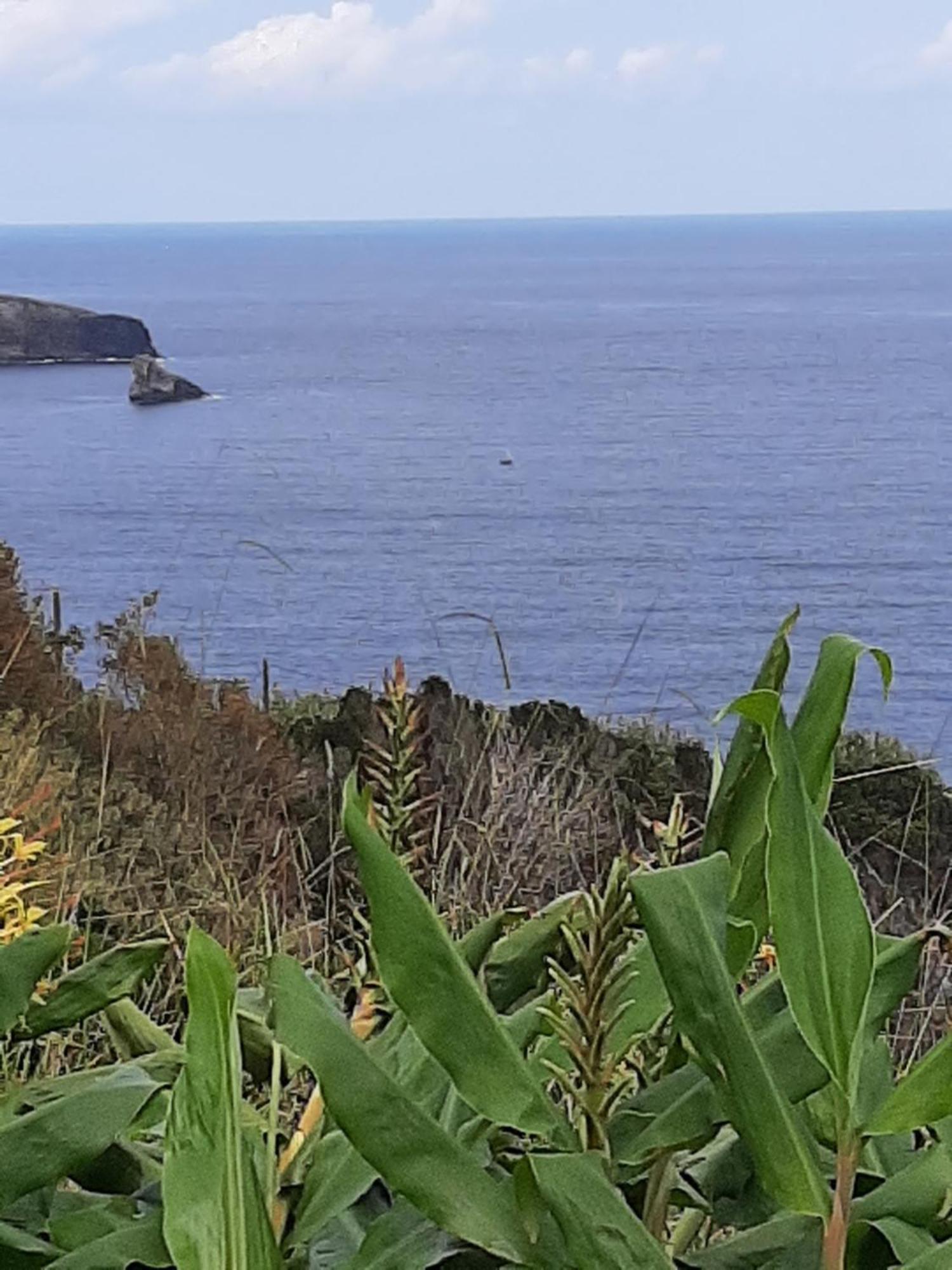 Apartmán Casa Vicente Santa Cruz das Flores Exteriér fotografie
